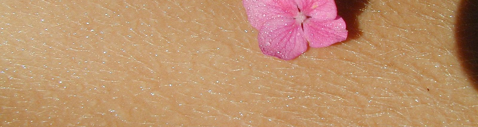 Was ist Cellulite